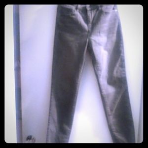 Buffalo David Bitton Pursuit